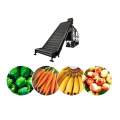 Fruit And Vegetable Process Machines